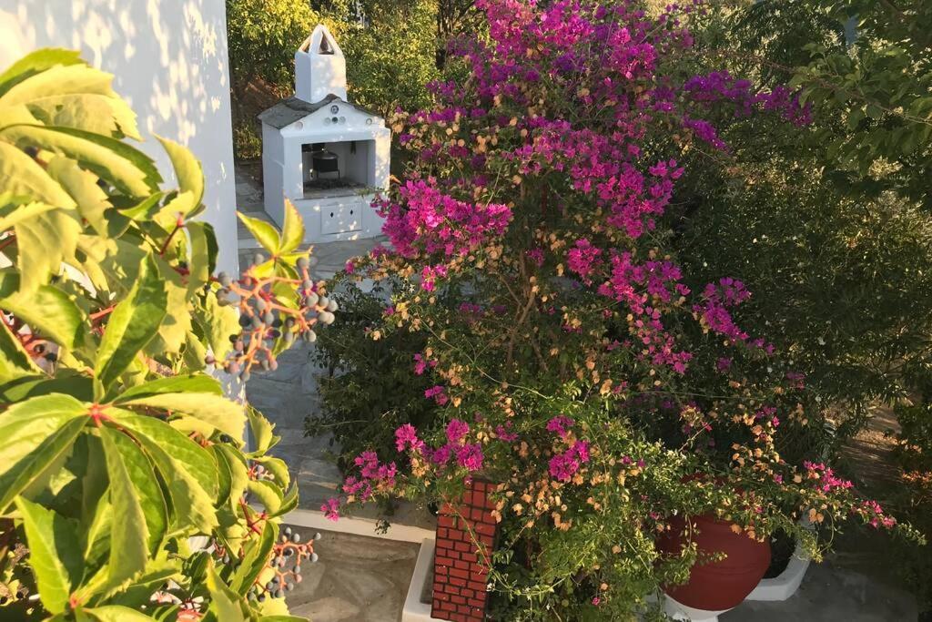 Παναής & Μαρία / Panais & Maria Skopelos Town Exterior photo